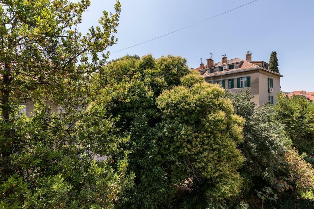 Garden View *