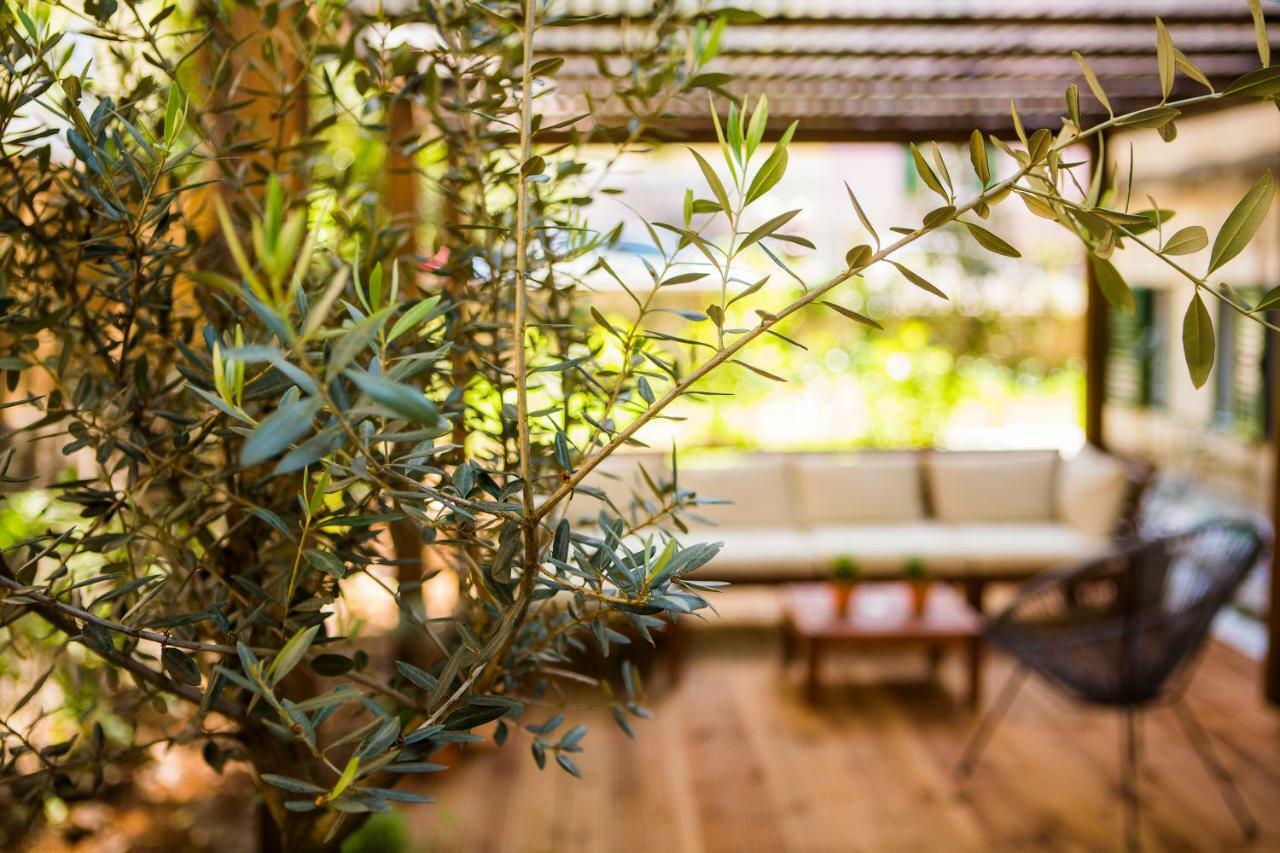 Apartment Luxurious With Private Garden Split