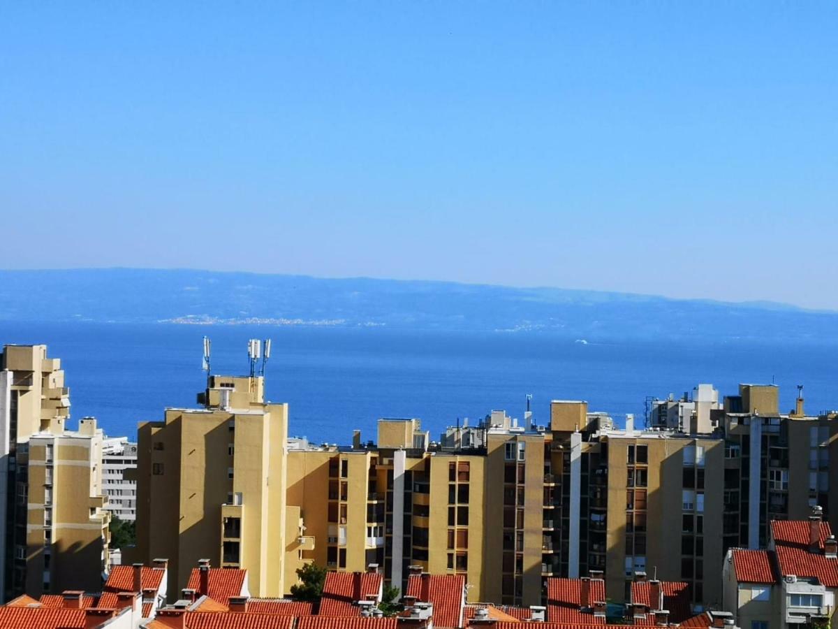 Ines 2 * Split