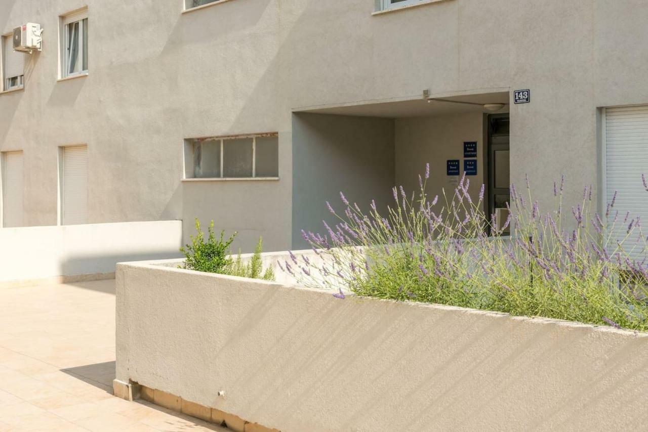 Sun & Palms Apartment *