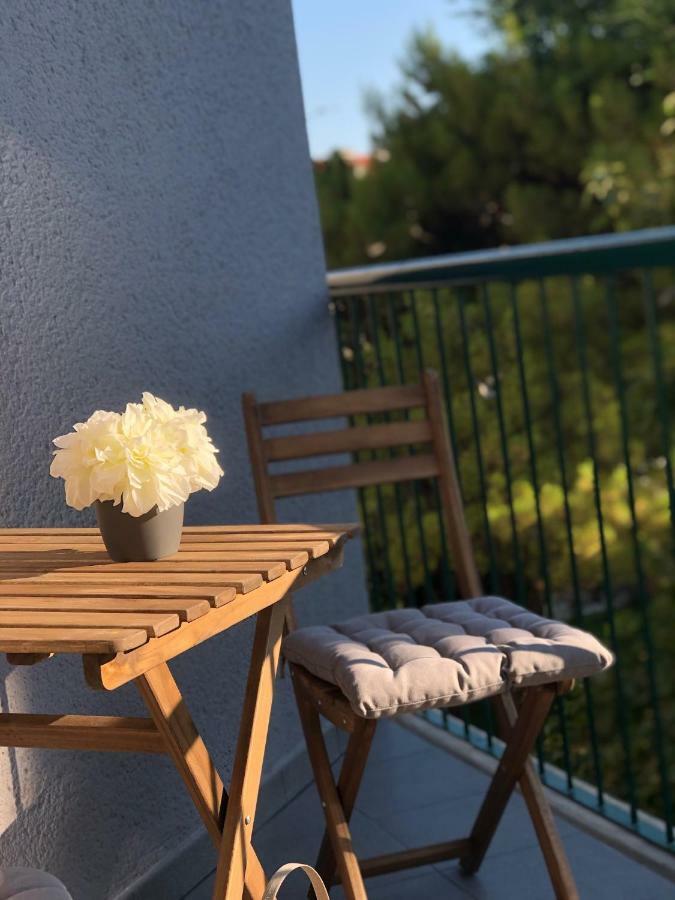 Marina Guest house *