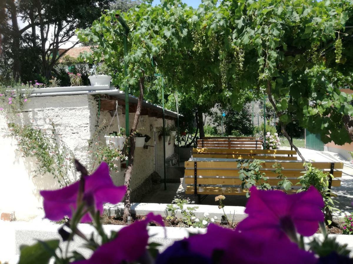 Apartment Odrina