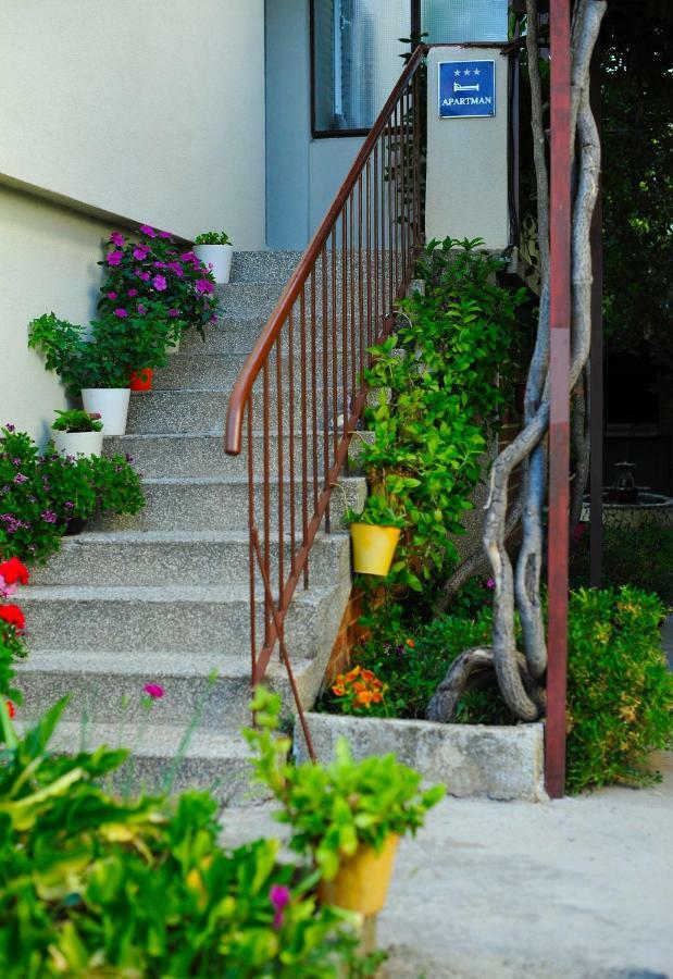 Green Garden Apartment *