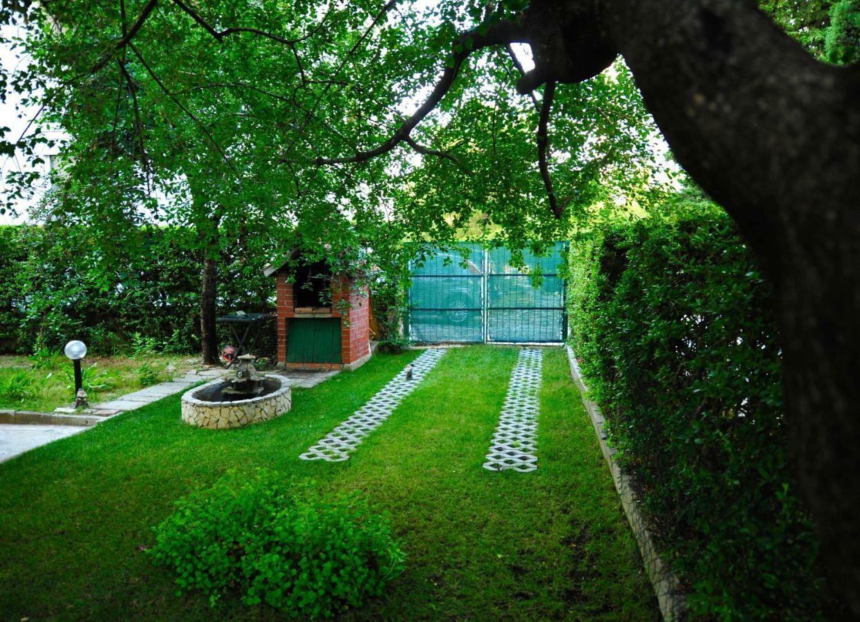 Green Garden * Split