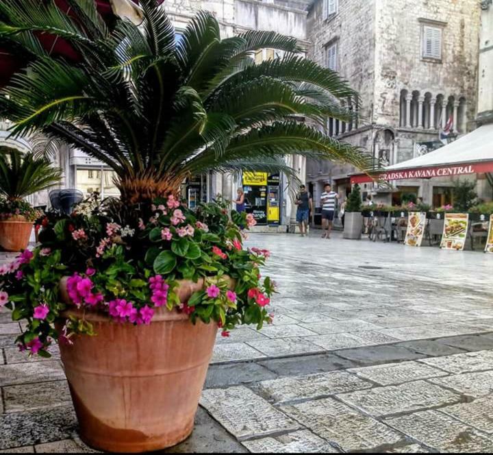 Ante Apartamento *