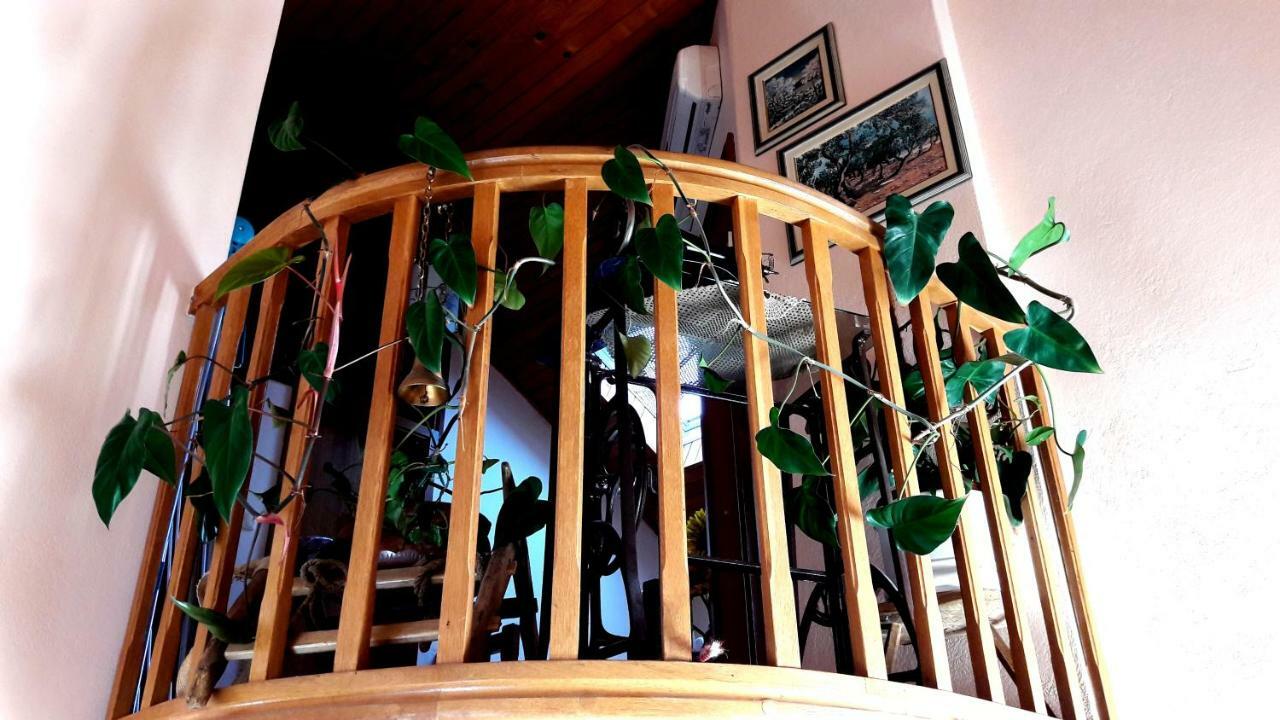 Bella Sanja Appartement *