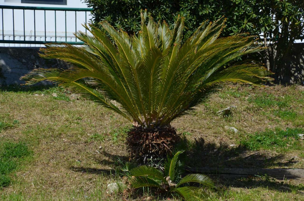 Apartments Dida Apartman Split