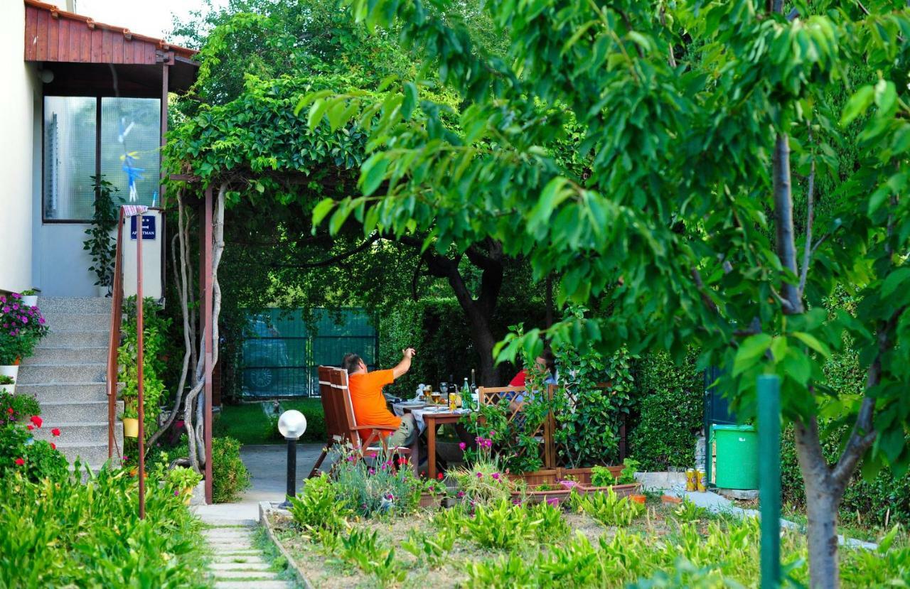 Green Garden *