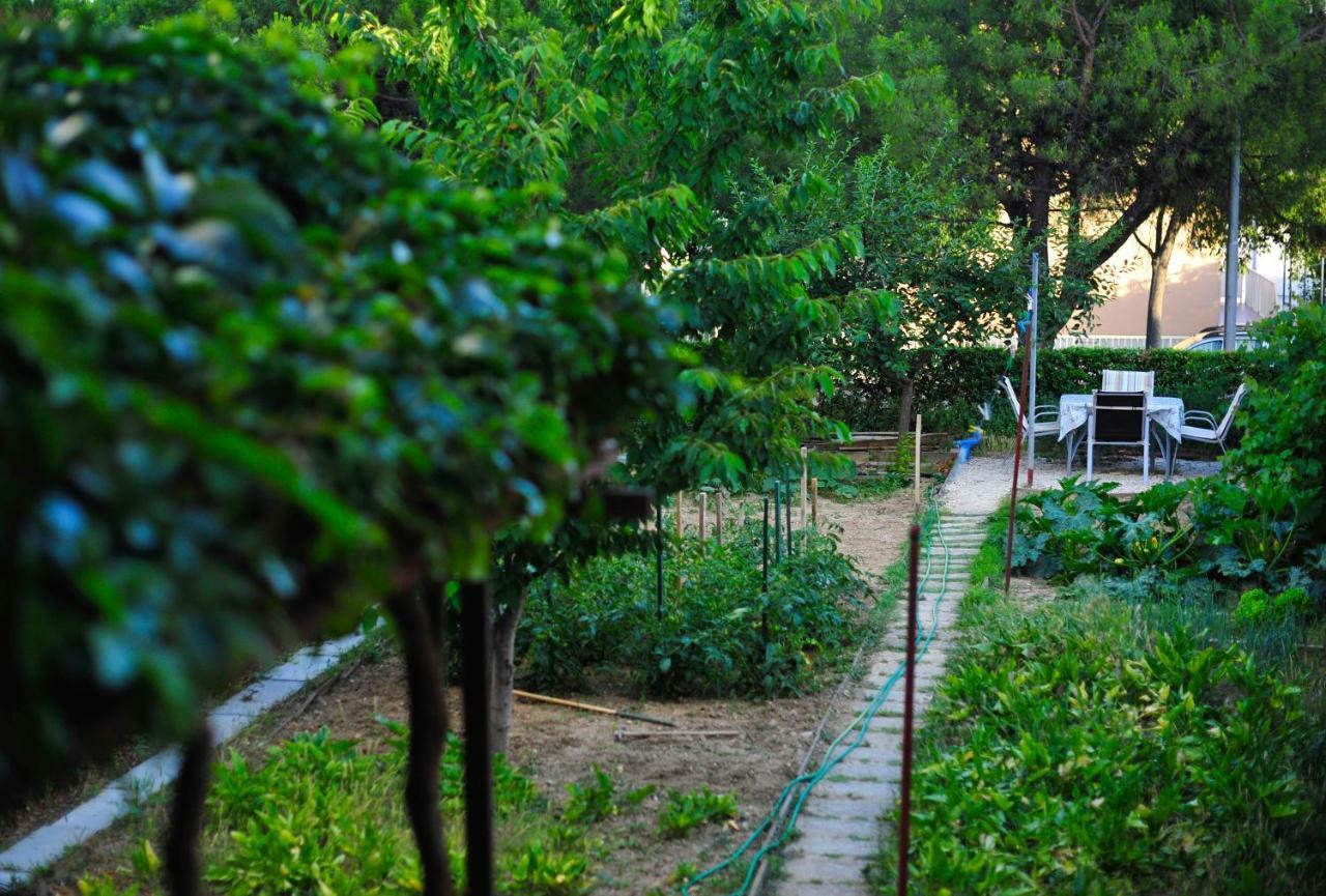 Apartment Green Garden Split
