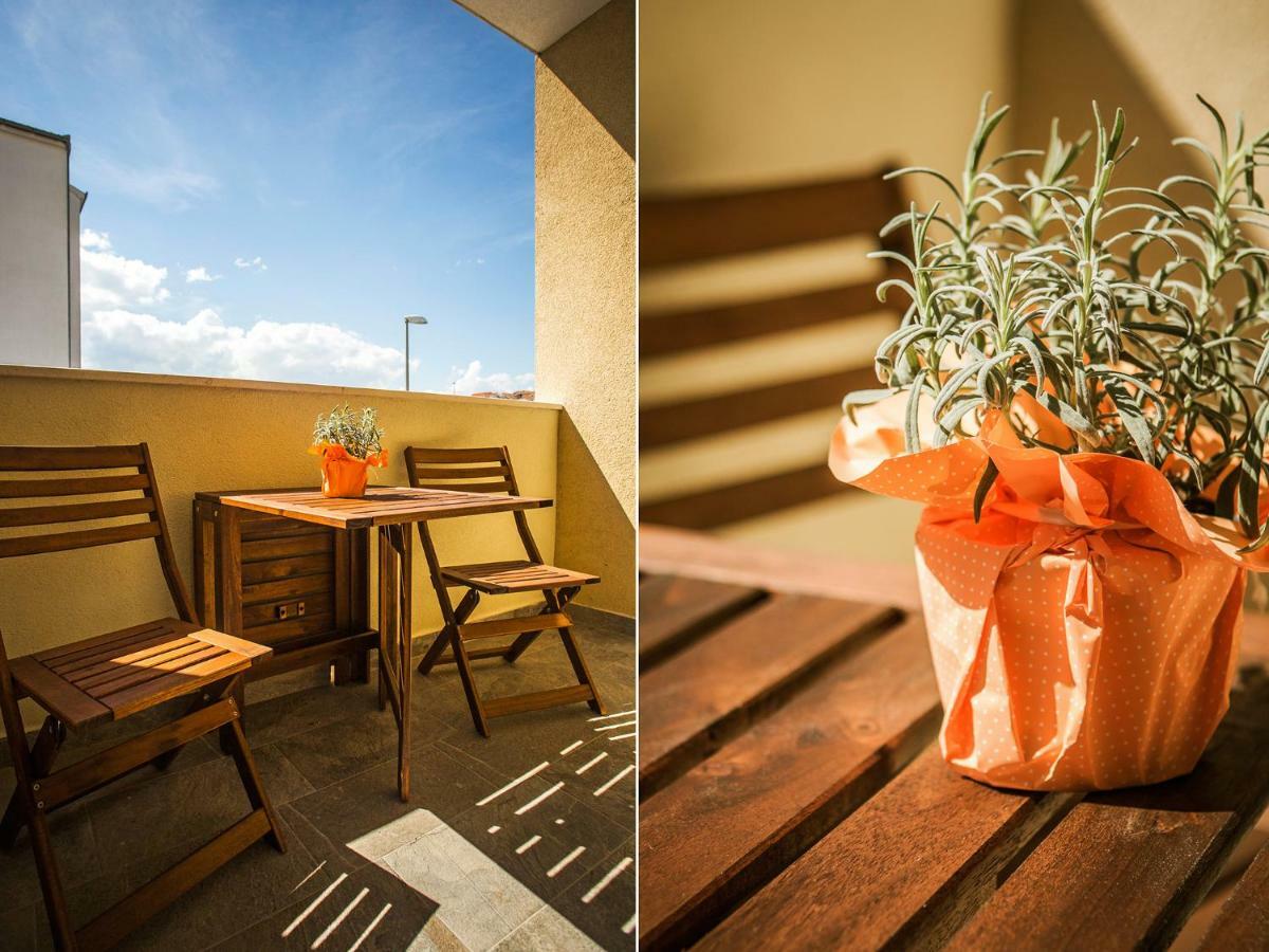Apartment Olive Tree