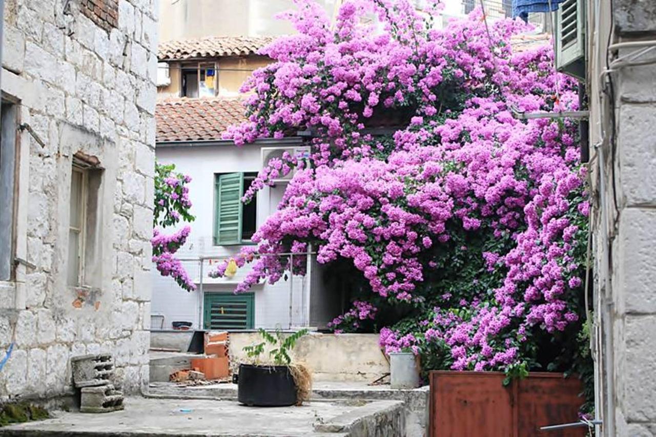 Diocletian Palace *