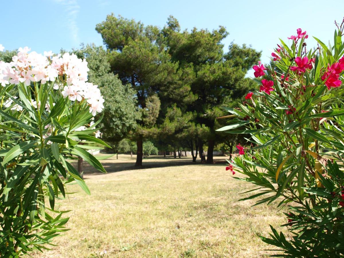 Jadran 3* Split