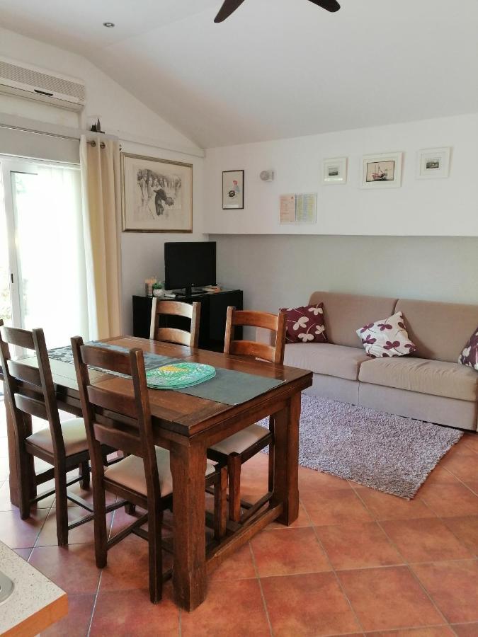 Apartment Dzoni