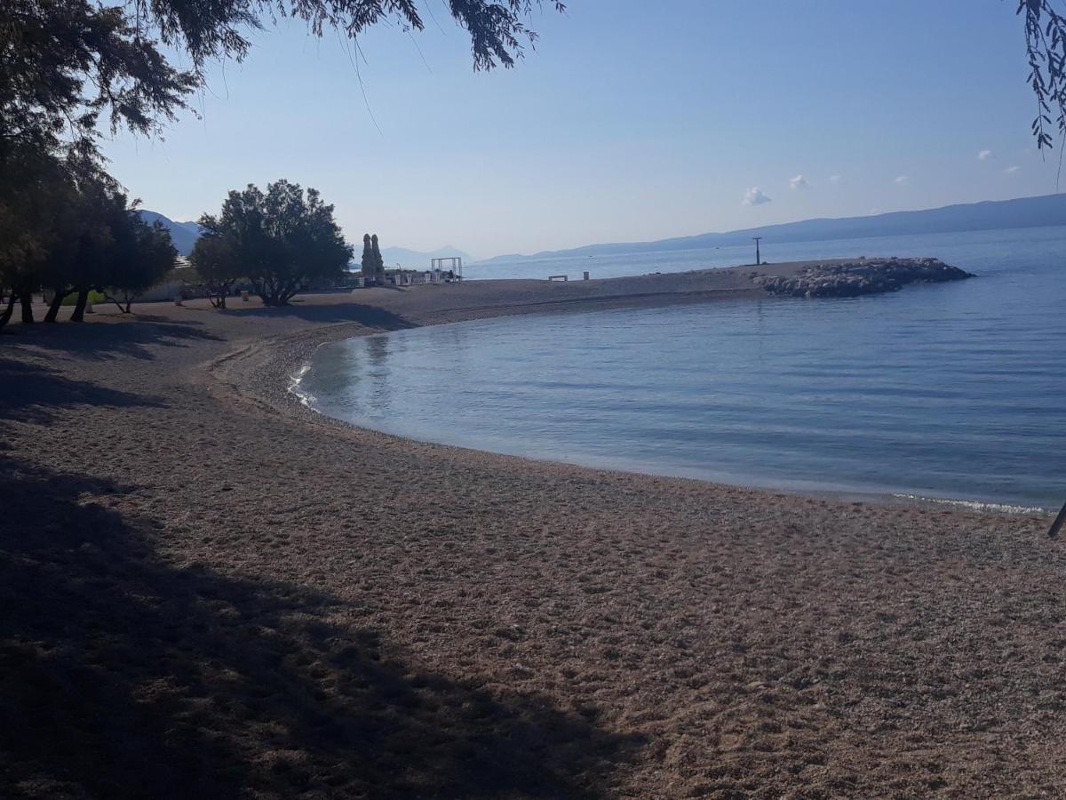 Odeska