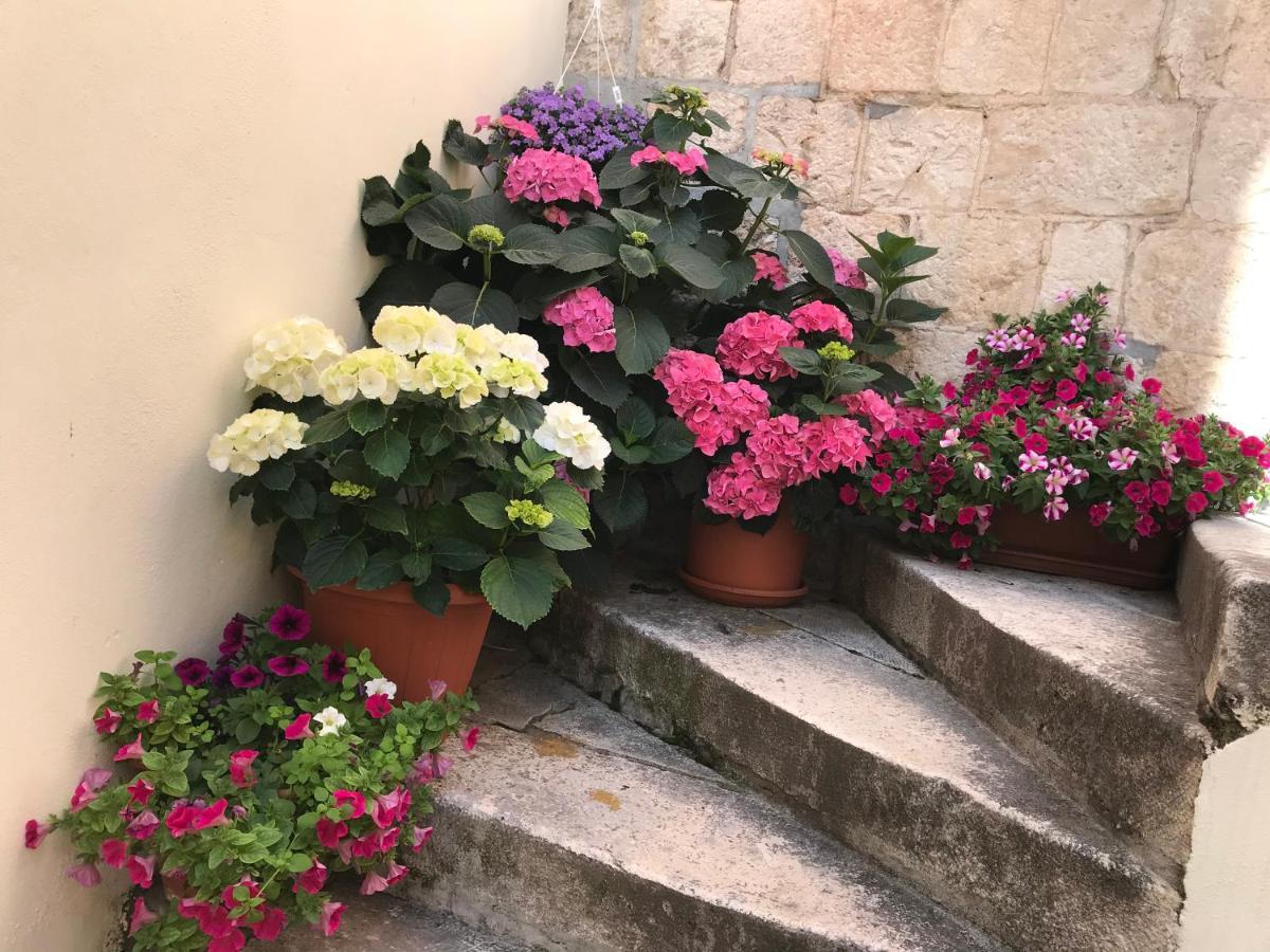 Bed & Breakfast Romantic Luxury Split