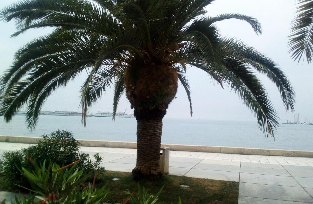 Apartamento Elly Split