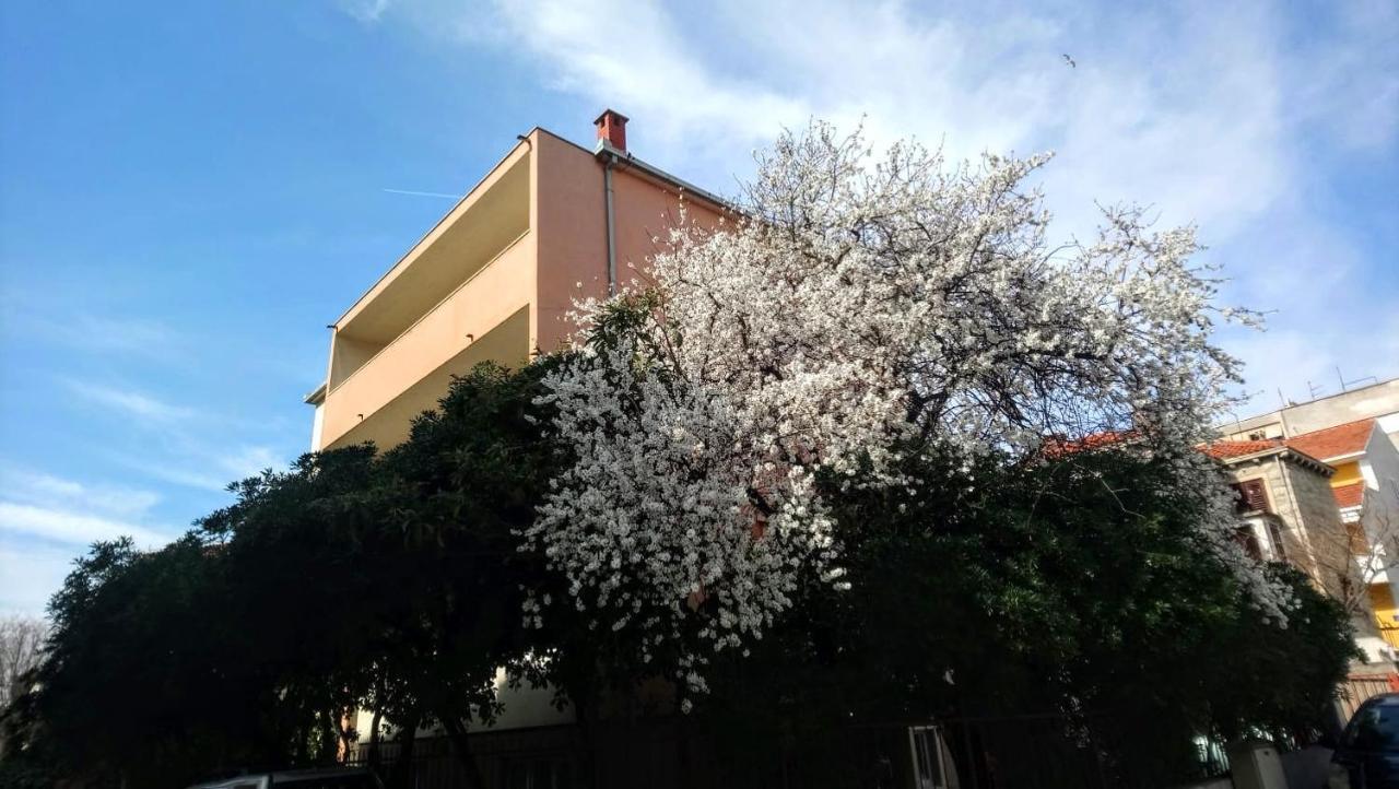 Apartamento Symphony Veranda: Modern, New