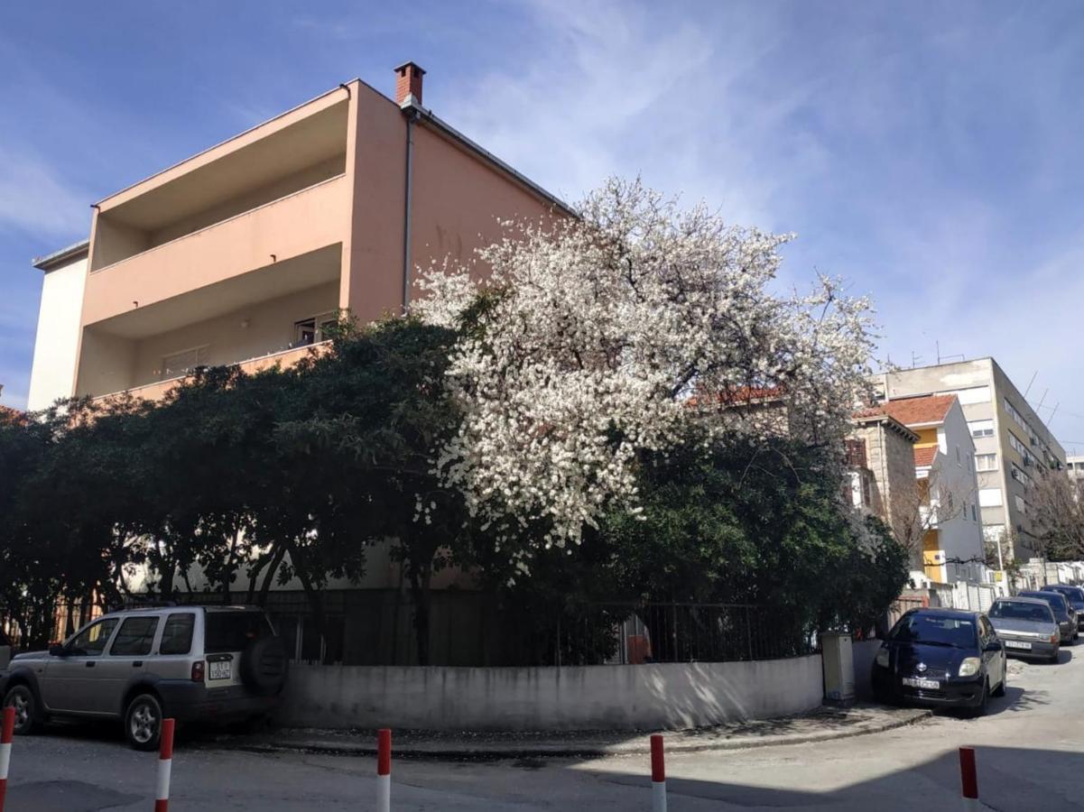 Symphony Veranda: Modern, New Apartamento *