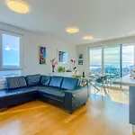 Sea Smile Apartment With Garage Parking
