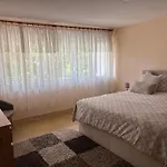 Ante Apartment