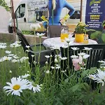 Studio Apartman Toni