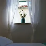 Apartments Vidilica