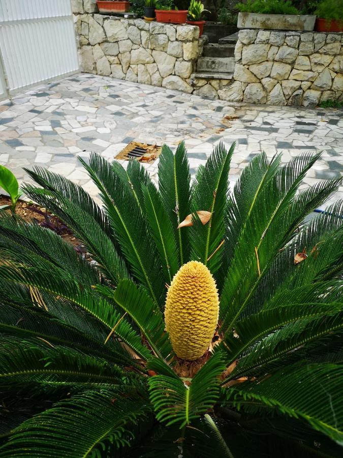 Appartement Meje Split