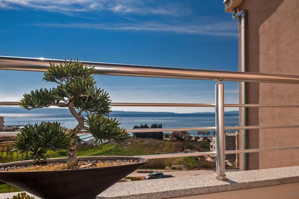 Ensidia Luxury Split