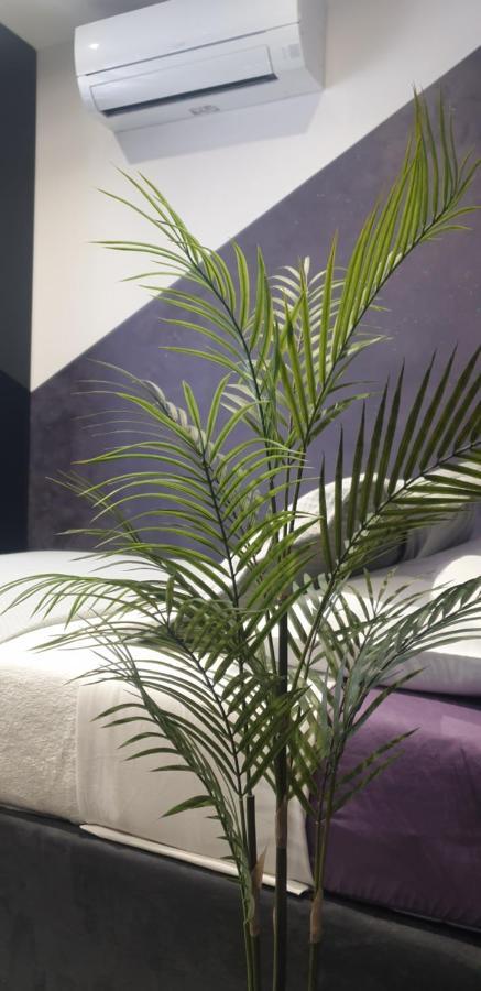 Lodore Del Mare On The Apartment Split