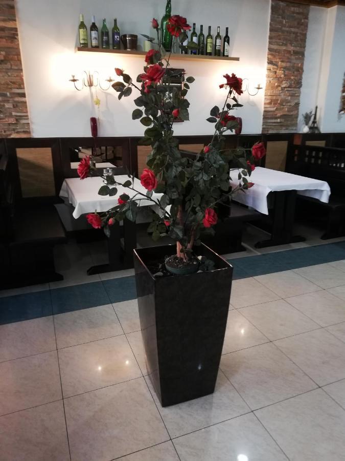 Apartman Santa Rita