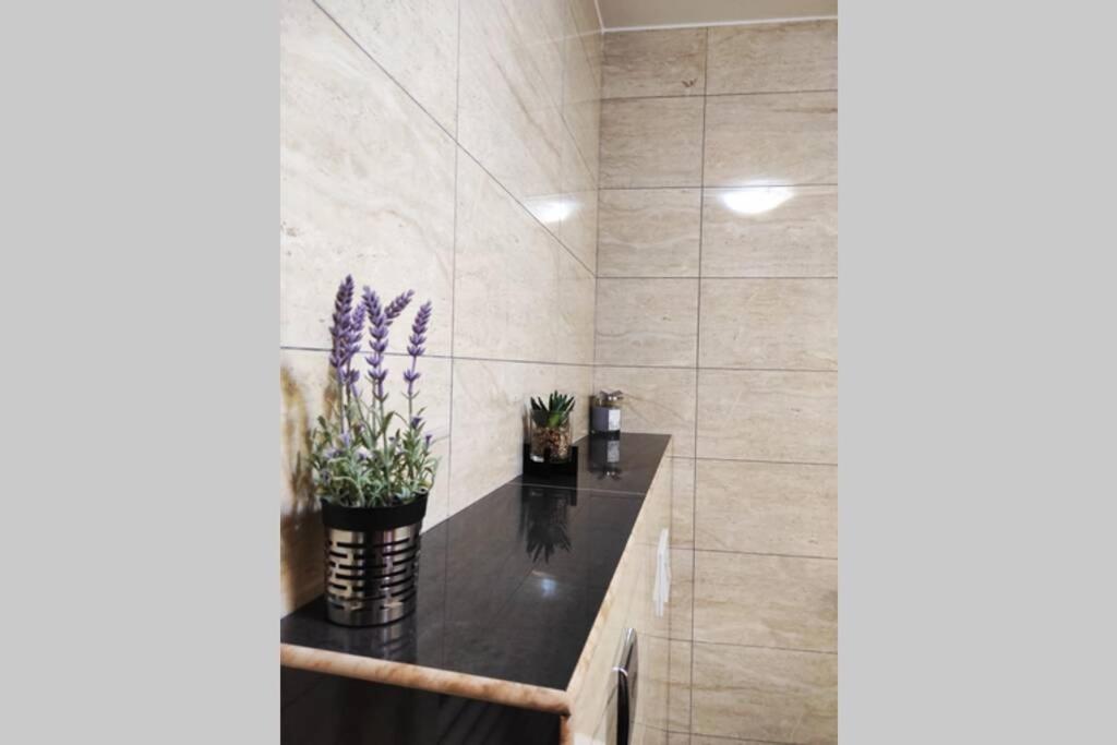 Apartamento Spacious Near Center And The