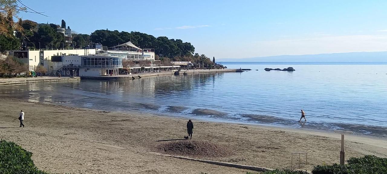 Zsa Zsa Zenta 1 Split