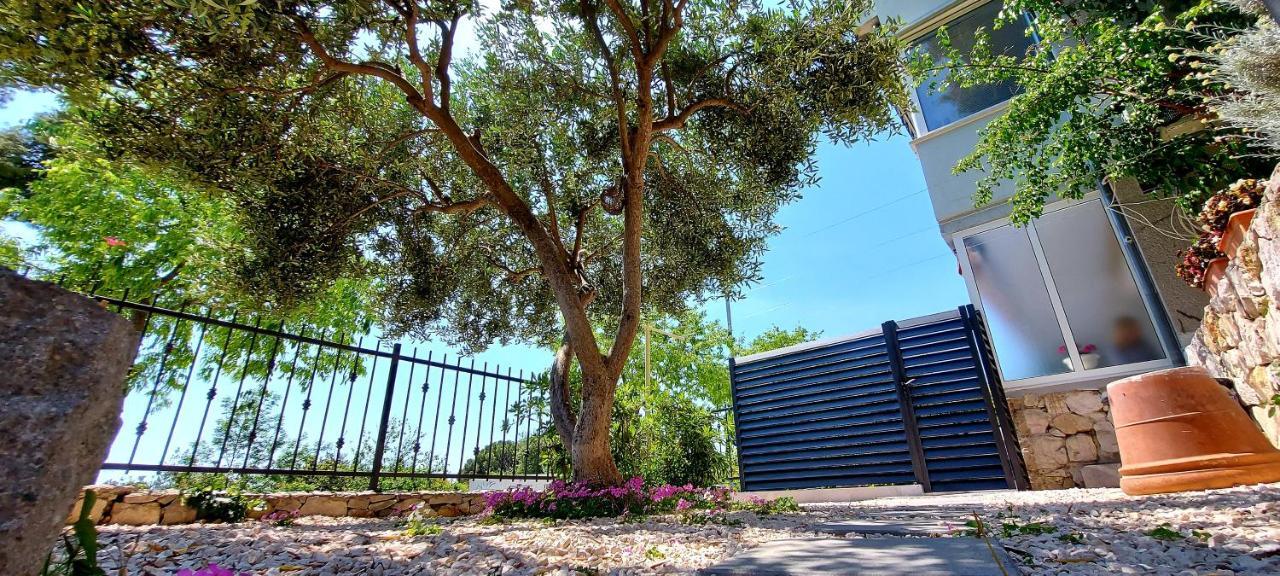 Ankora Apartamento