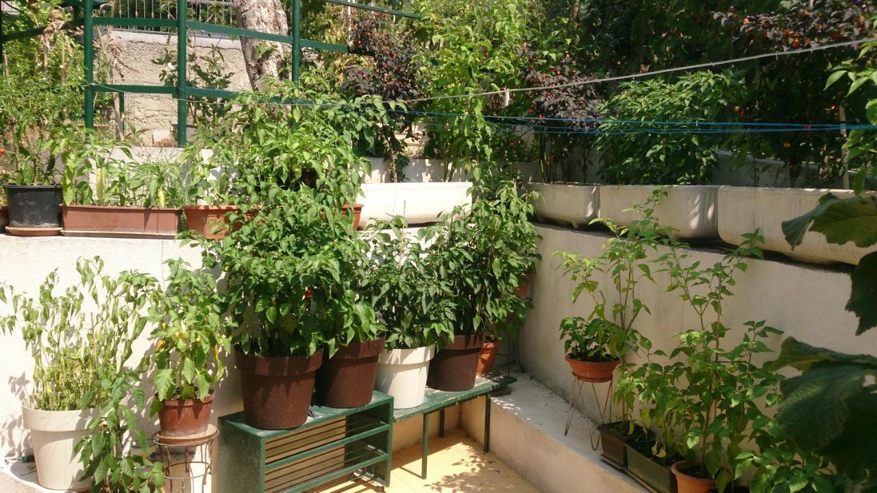 Paro Apartment