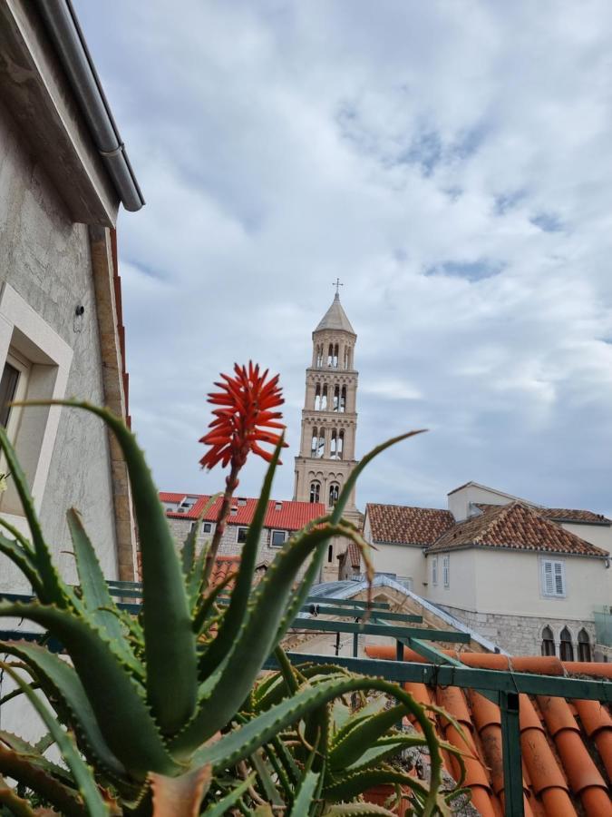 Malena Palace Experience