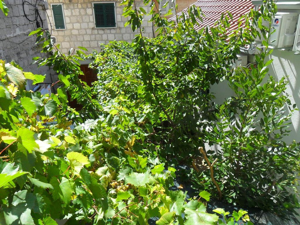 Dube Appartement