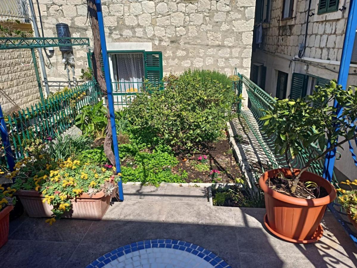 Apartment Belvedere *