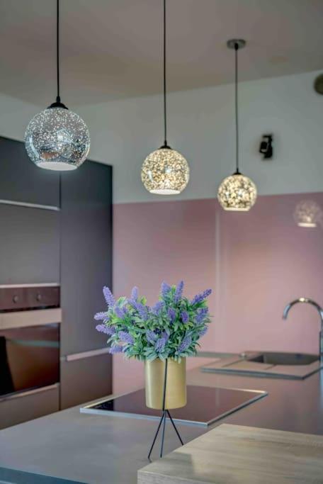 Spacious Lux Apartman