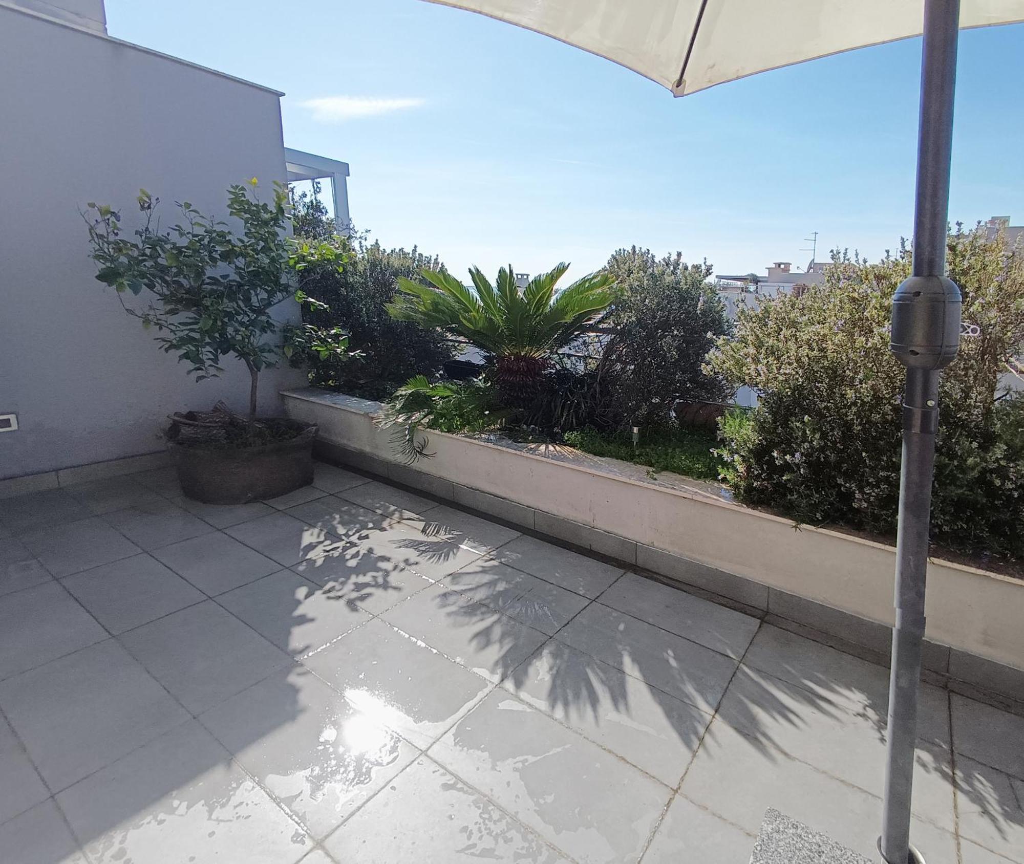 Apartment Sea View Znjan *