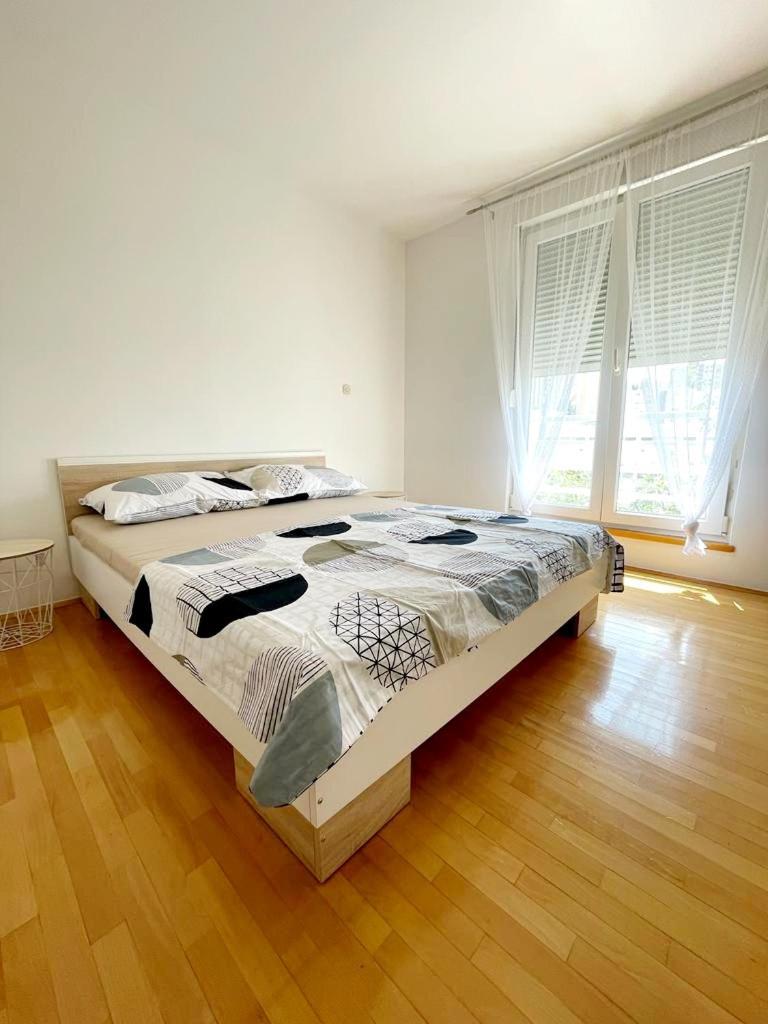 Little Sunlight Oasis Apartment *