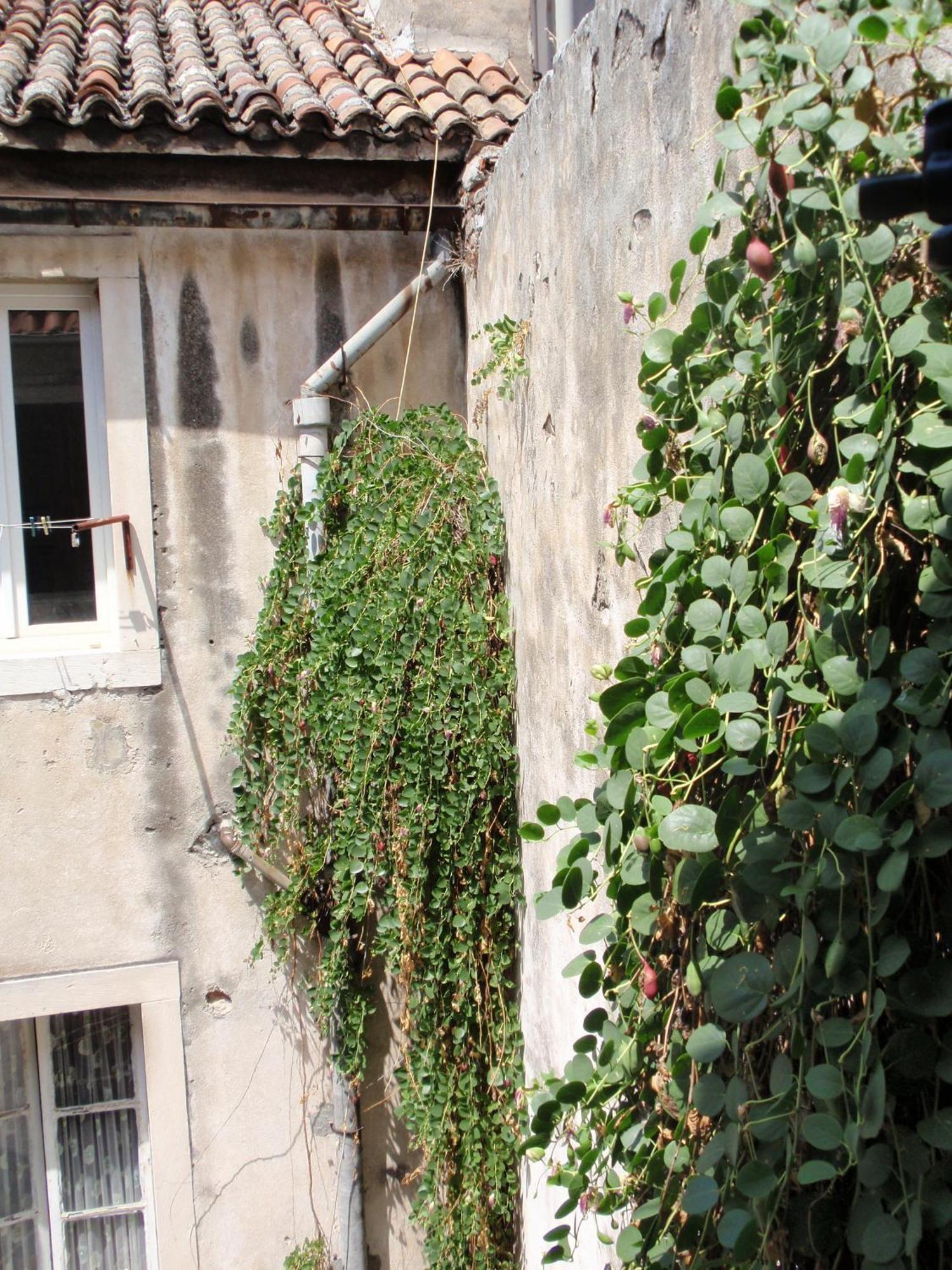 Gasthof Malena Palace Experience Split