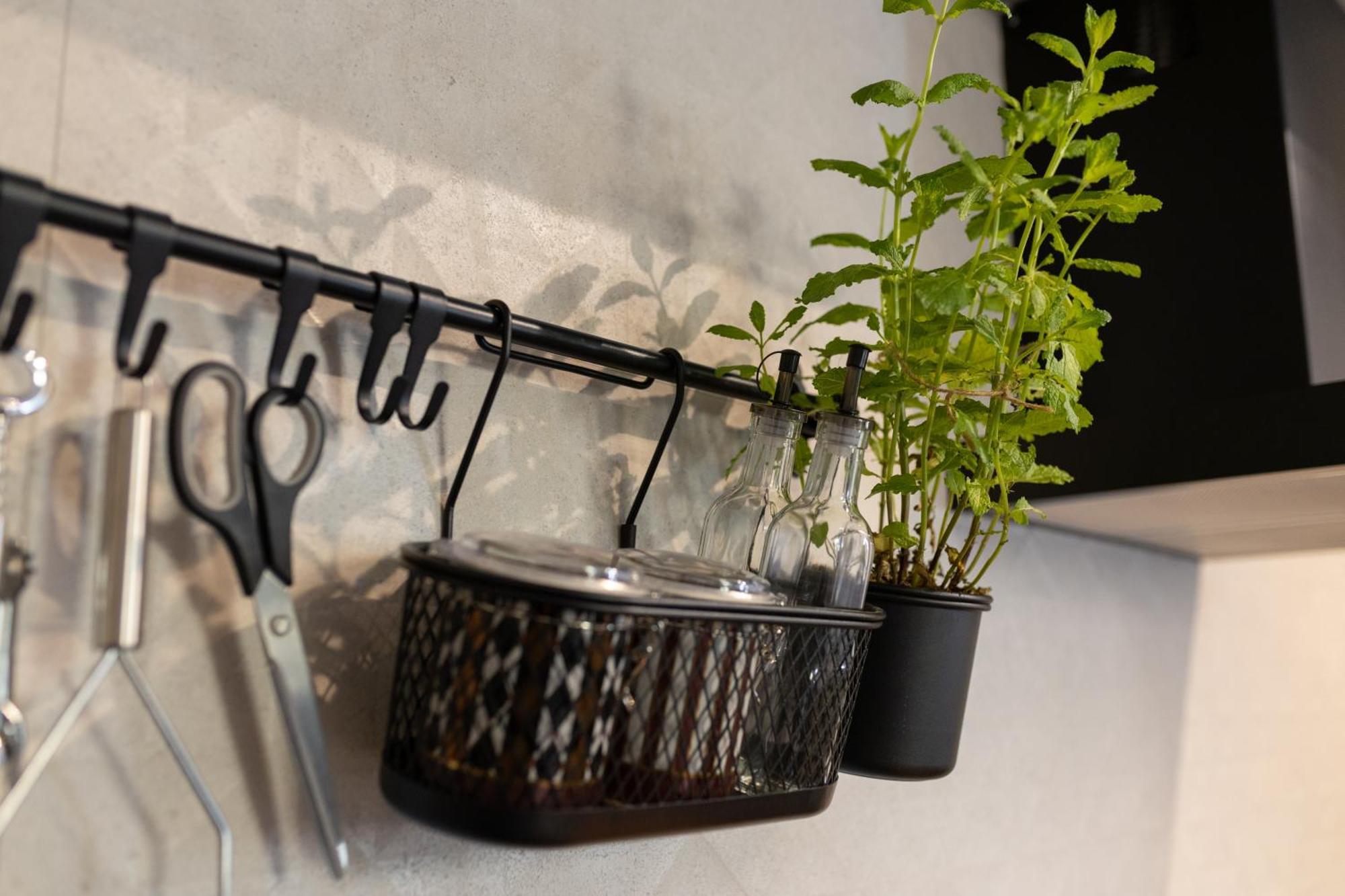 Apartment Palcic