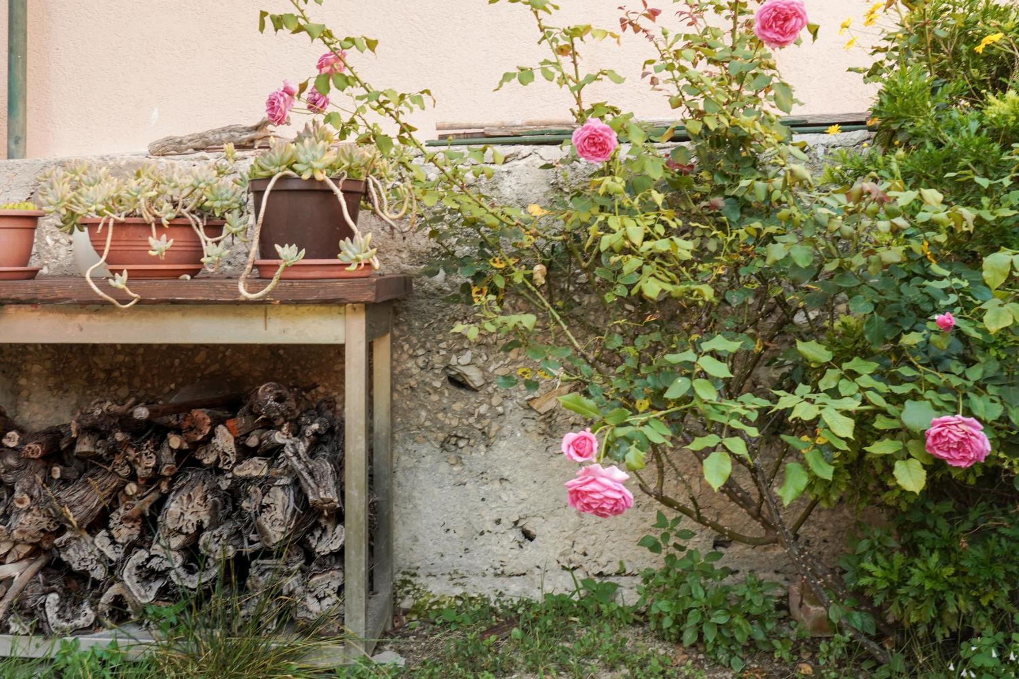 Tranquil Urban Escape Apartman Split