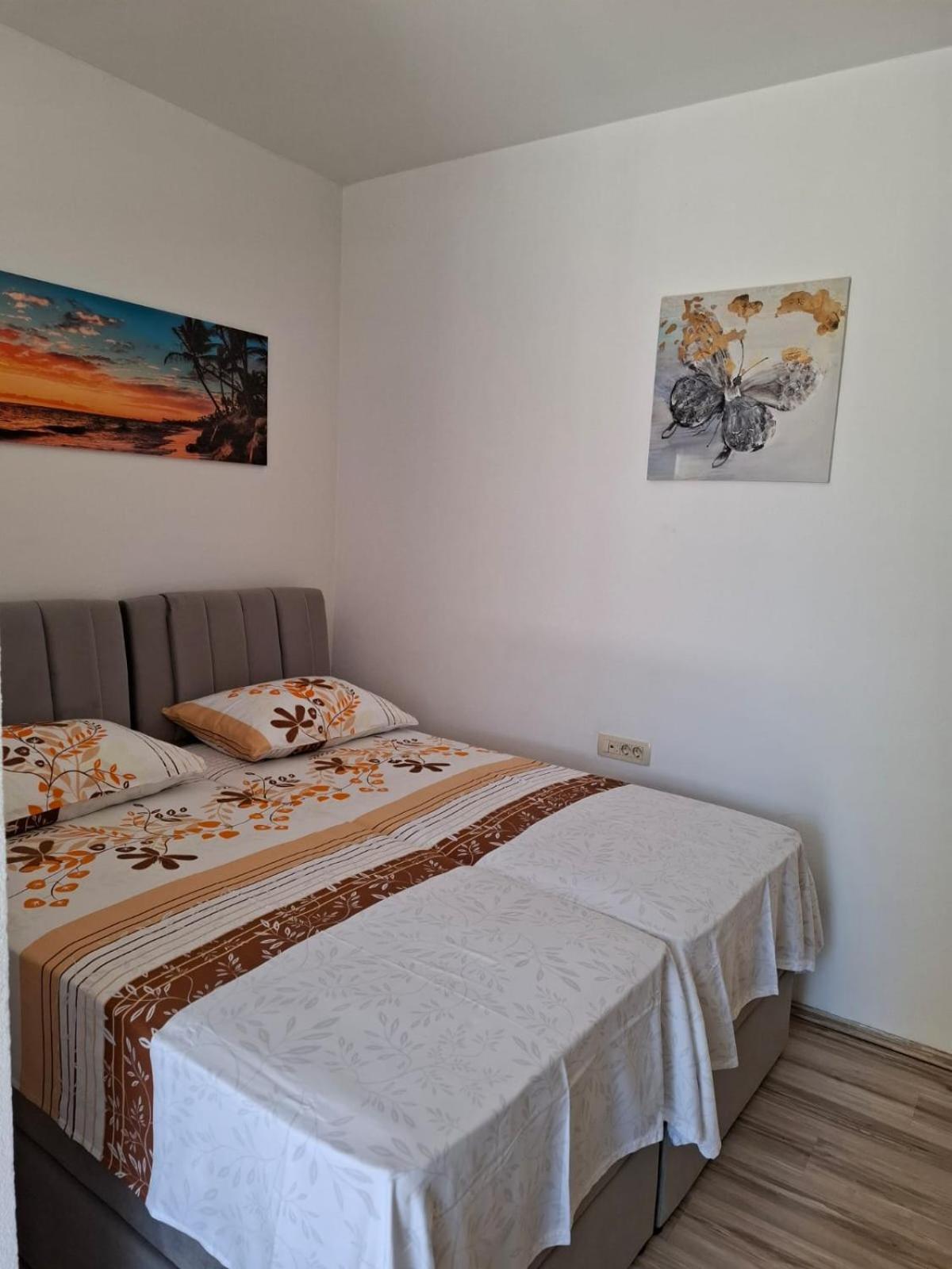 Latica * Split