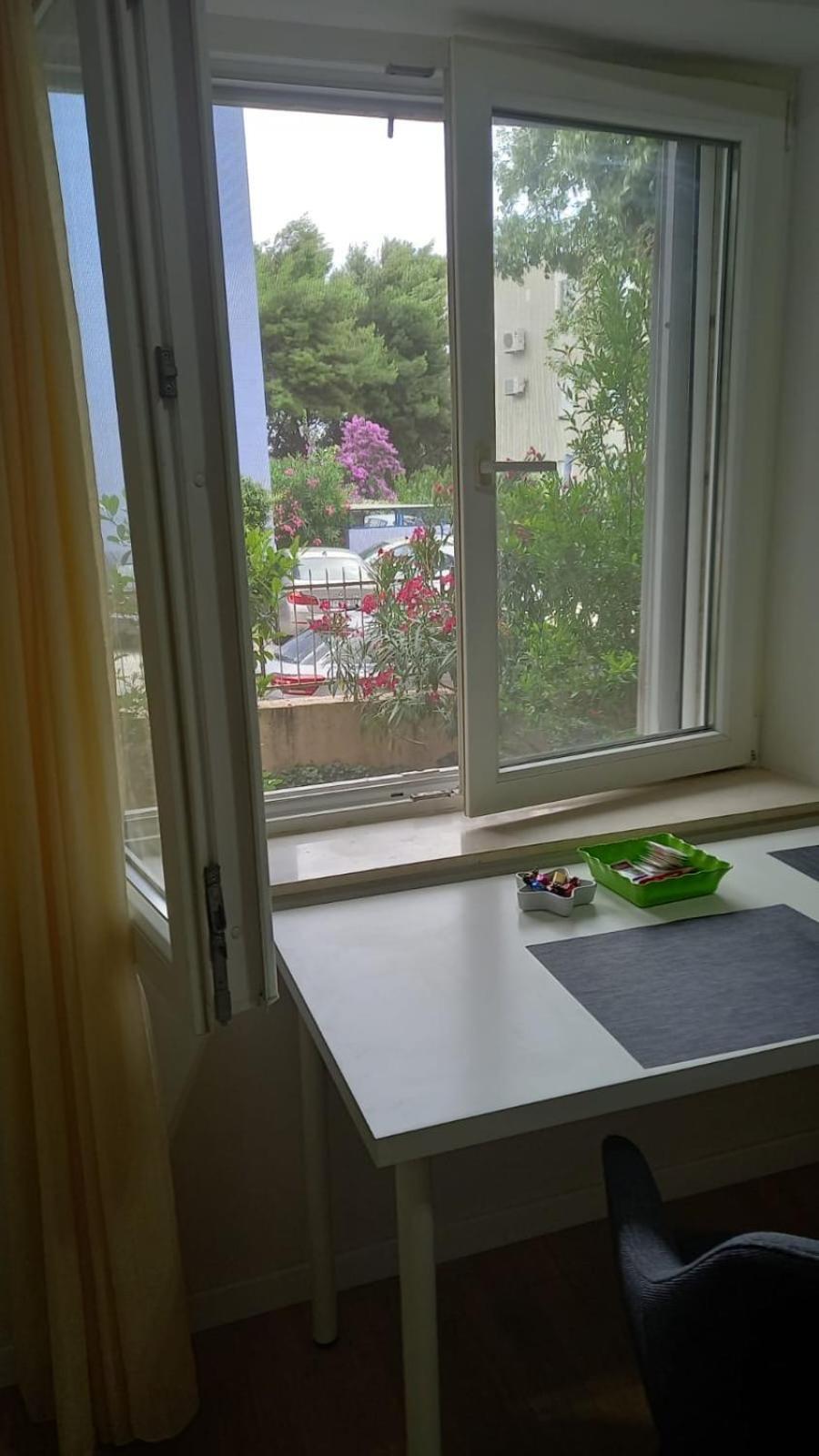 Apartman Zsa Zsa Zenta 1