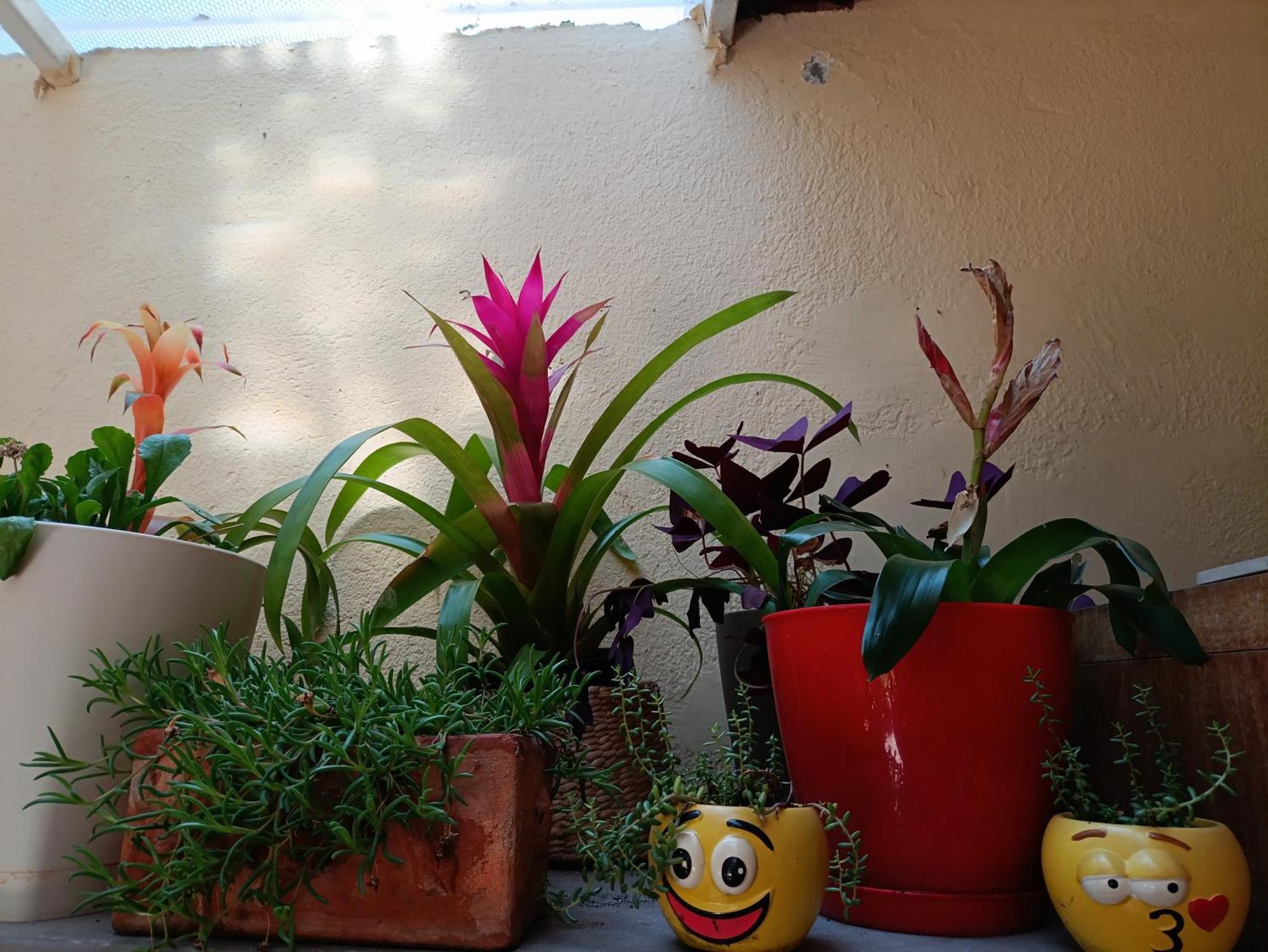 Apartment Studio Antonio Split