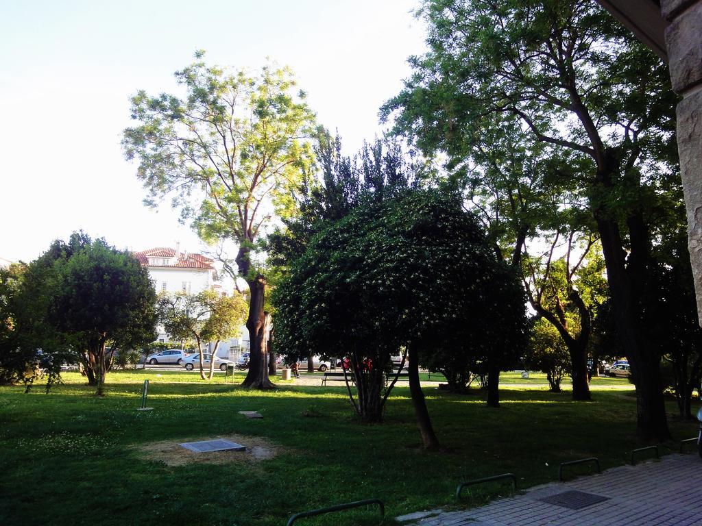 Orsula