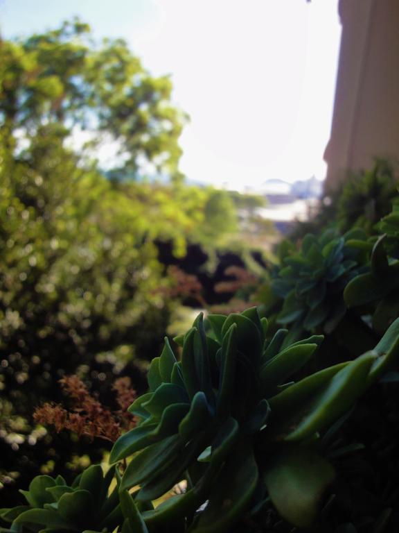 Apartment Orsula Split