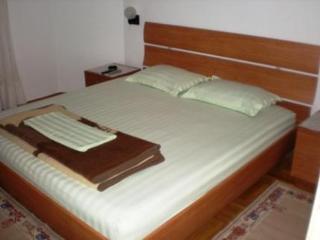 Bozinovic 3*