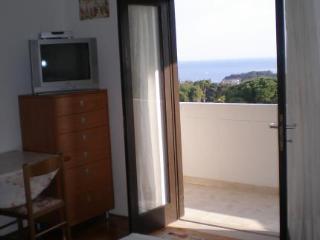 Bozinovic 3*